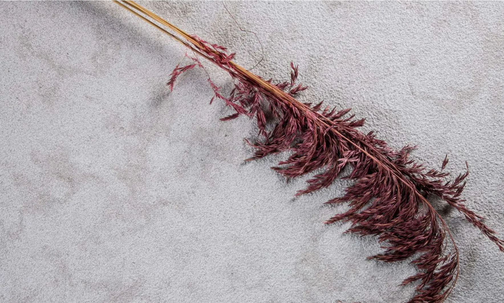 Avallon Talcy - vue détaillée