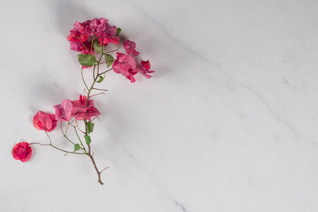 Blanc Ibiza Sablé - vue détaillée