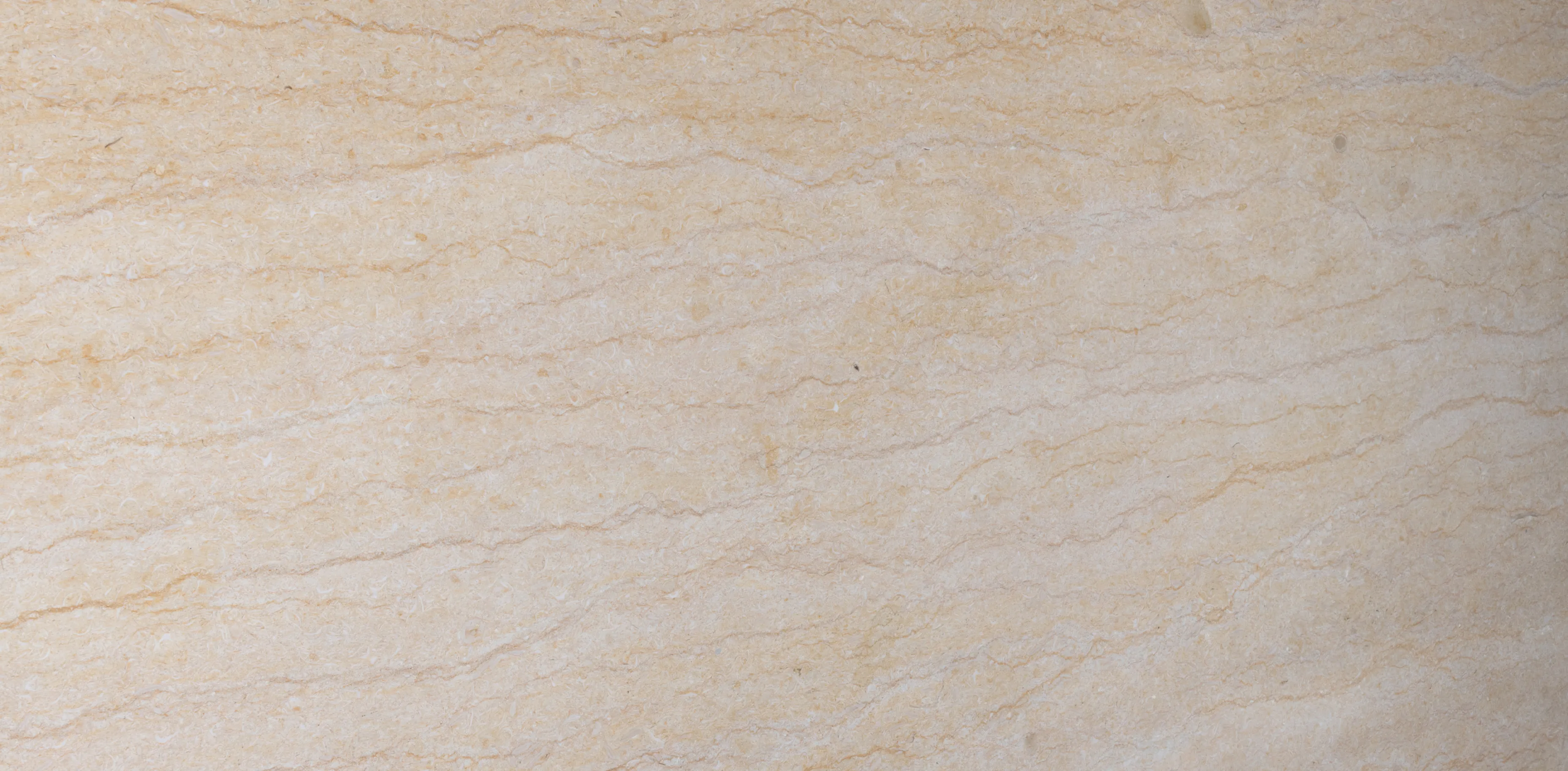 Crema Silvia Poli Brillant - vue détaillée