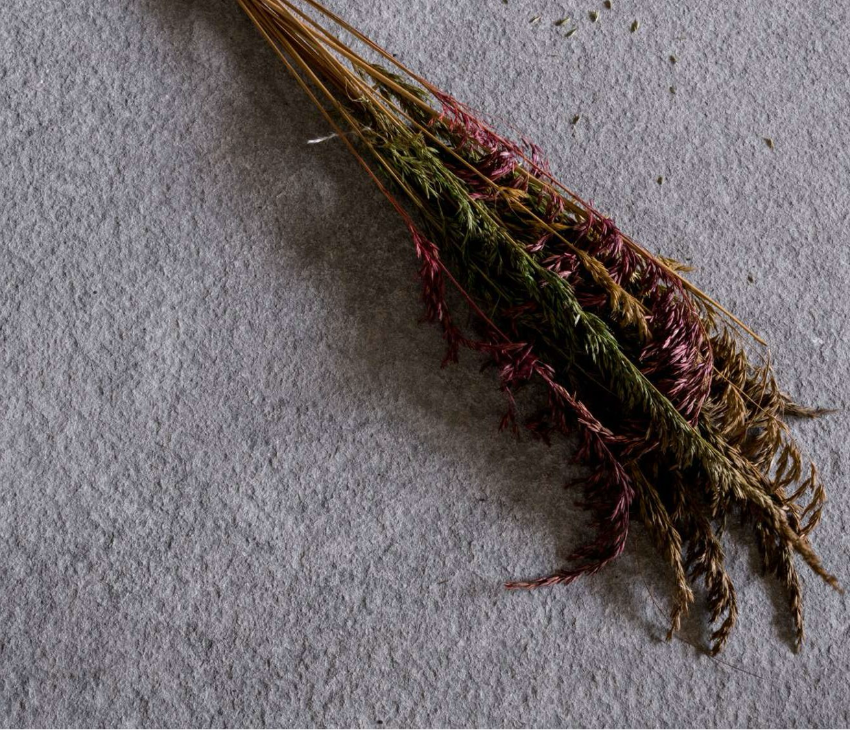 Kahla Fléac - vue détaillée