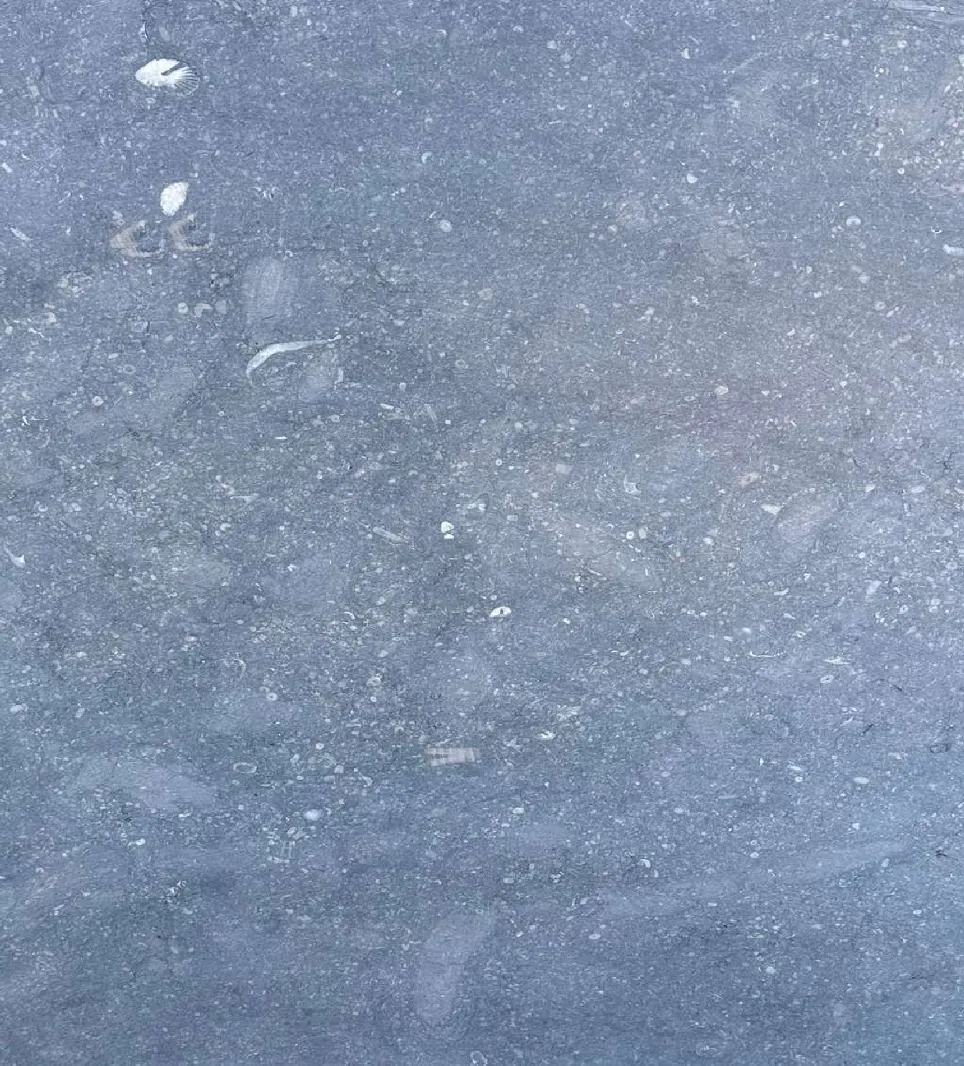 Pierre Bleue du Hainaut Adouci