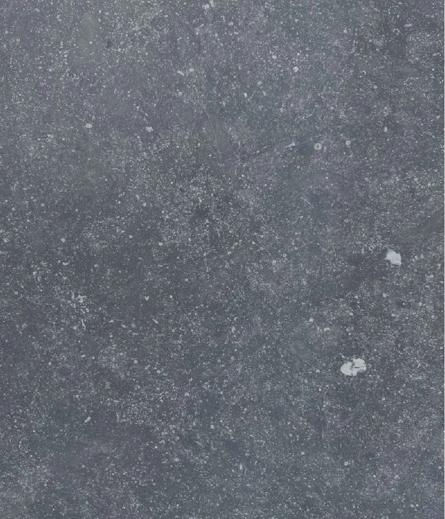 Pierre Bleue du Hainaut Adouci - vue détaillée