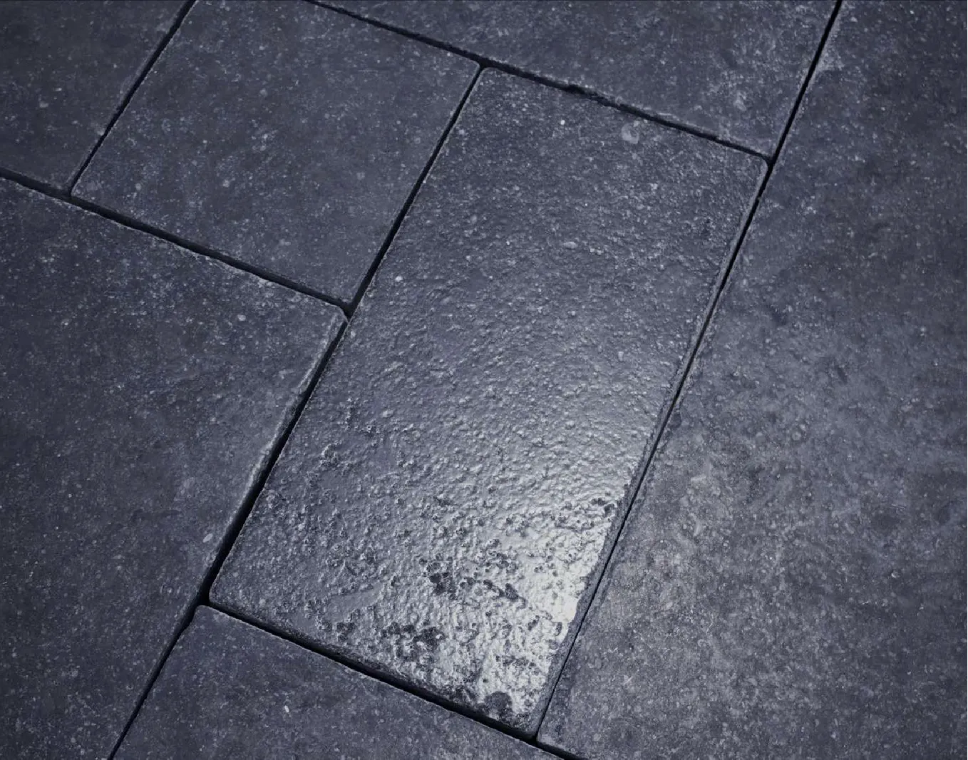 Pierre Bleue du Hainaut Beynac - vue détaillée