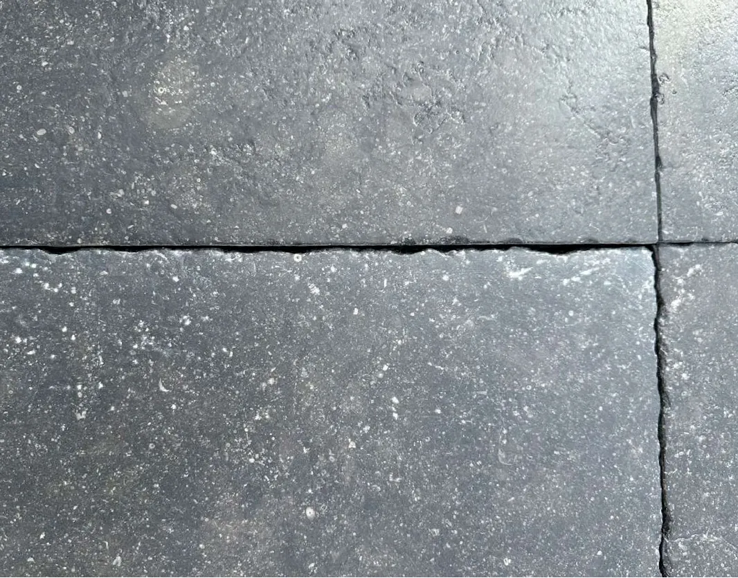 Pierre Bleue du Hainaut Lutèce - vue détaillée