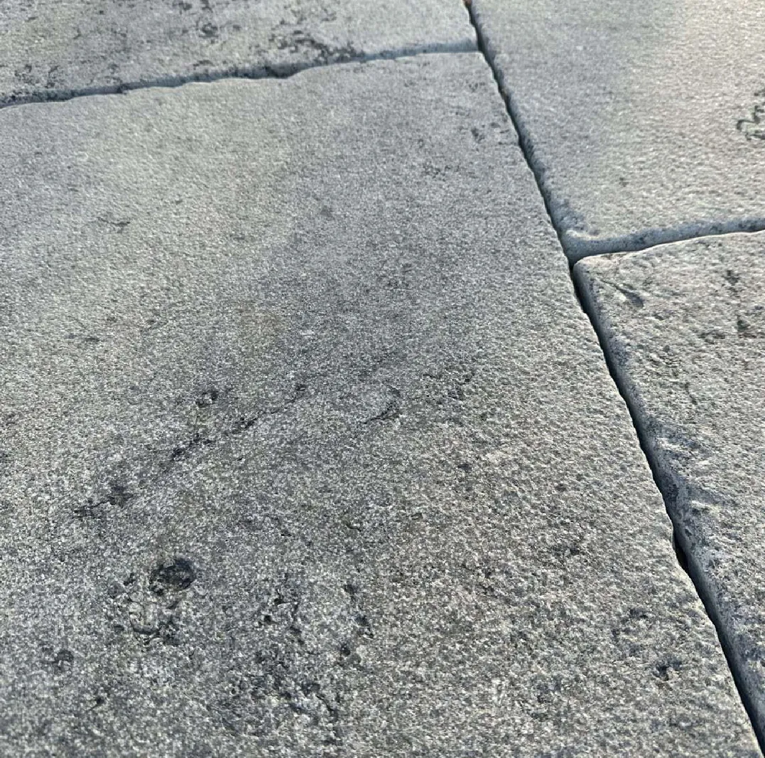 Pierre Bleue du Hainaut Montpoupon - vue détaillée