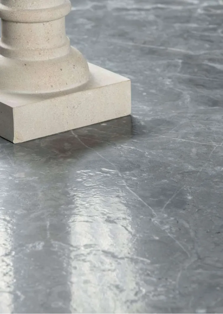 Saint Maure Beauregard - vue détaillée