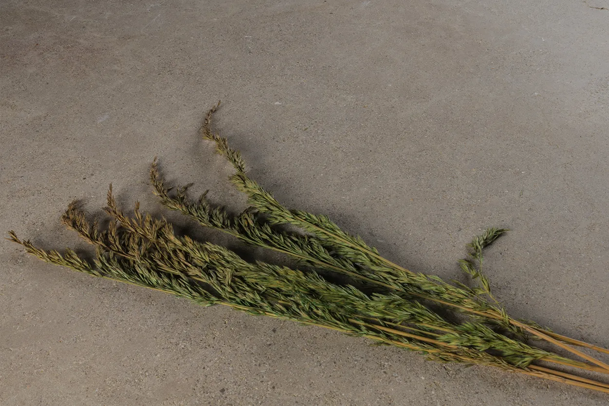 Zola Beige Beauregard - vue détaillée